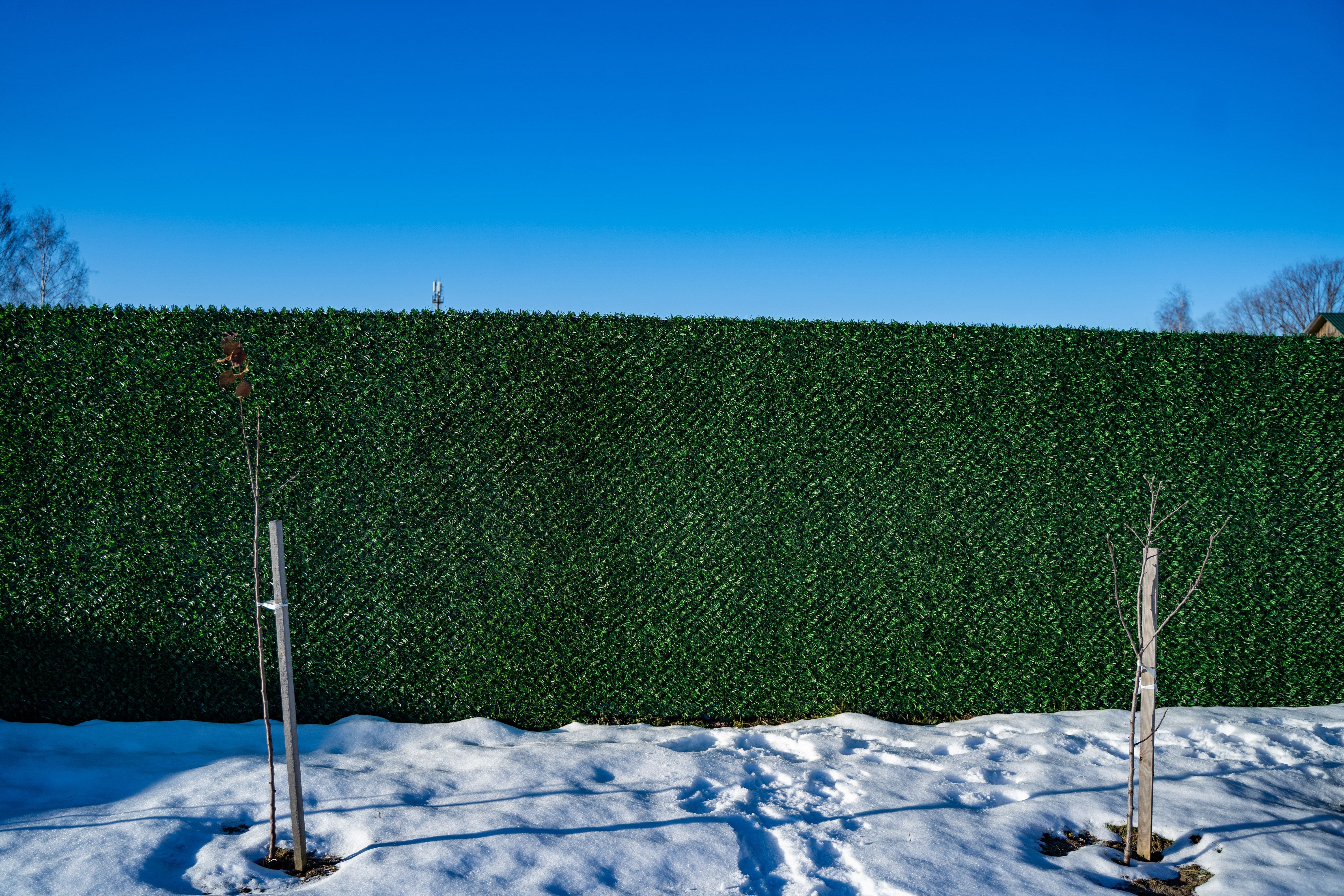 Вечнозеленый забор Grass Fence рулон 2м фото 8 в Изобильном